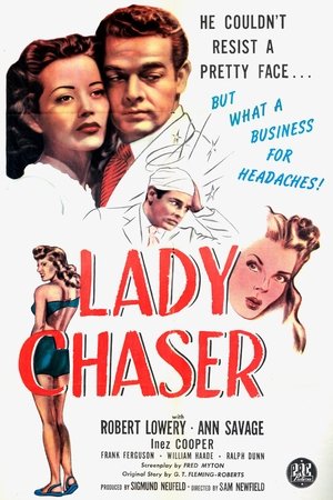 Lady Chaser poster