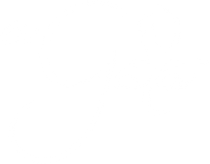 A Gata — Logos 1