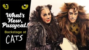 What's New, Pussycat!: Backstage at 'Cats' with Tyler Hanes Previews!