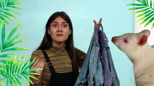 Épisode 13