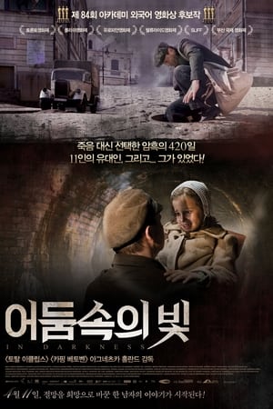 Poster 어둠 속의 빛 2011