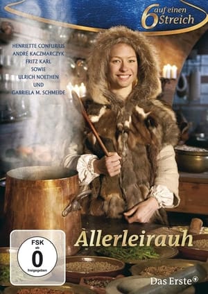 Poster Allerleirauh 2012