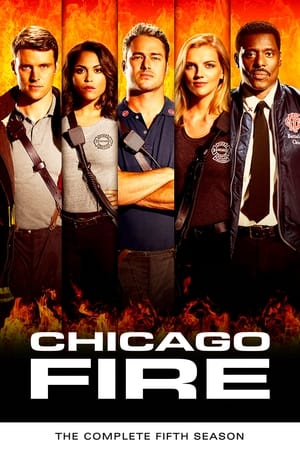 Chicago Fire: Kausi 5