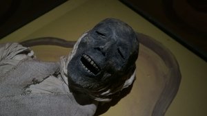 A Haunting Curse of the Mummy