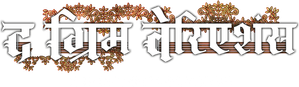 Las variaciones Grimm — Logos 9