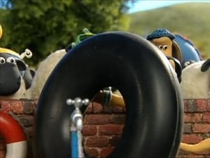 Shaun the Sheep Season 1 Episode 29