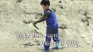 Épisode 202