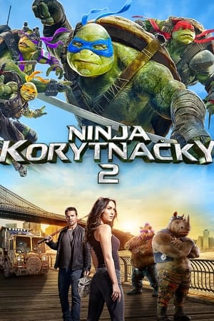 Image Ninja korytnačky 2