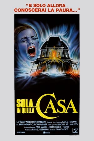 Poster Sola... in quella casa 1989