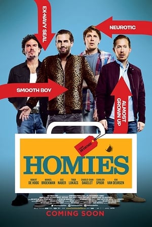Poster Homies (2015)