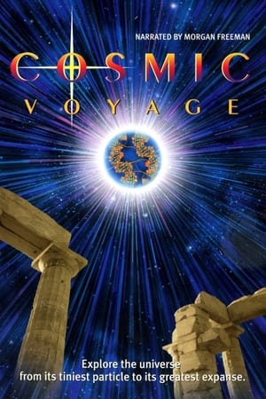 Poster Voiajul cosmic 1996