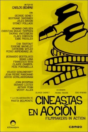 Poster Cineastes en acció 2006