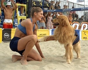 Air Bud 5 – Vier Pfoten schlagen auf (2003)