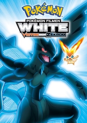 Image Pokémon Filmen: White - Victini och Zekrom