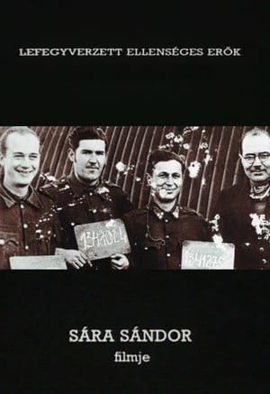 Poster Prisoners of War (1991)