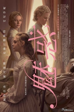 Poster 牡丹花下 2017