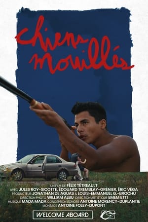 Poster Chiens mouillés 2023