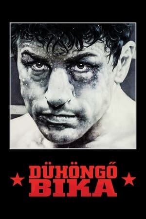 Poster Dühöngő bika 1980