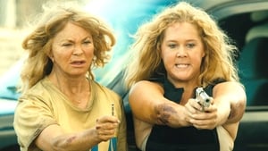 Snatched (2017)