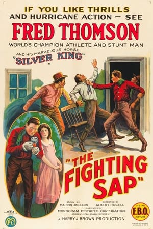 Poster The Fighting Sap (1924)