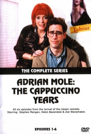 Adrian Mole: The Cappuccino Years poster
