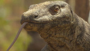 Prehistoric Planet Season 3 Episode 3