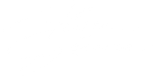Alma Gêmea — Logos 2