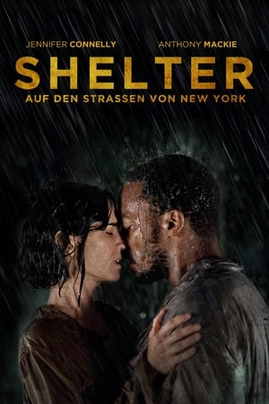 Shelter 2014