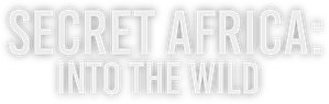 Secret Africa: Into the Wild