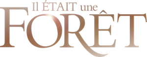 Once Upon a Forest