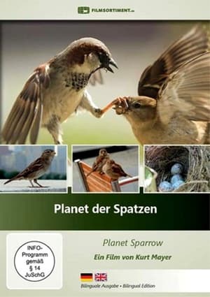 Planet der Spatzen film complet