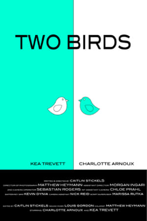 Poster Two Birds (2016)