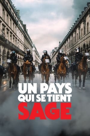 Poster Un pays qui se tient sage 2020