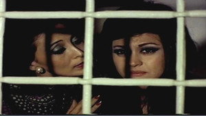 سيدة الأقمار السوداء
