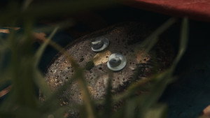 Heart of Stone still 5