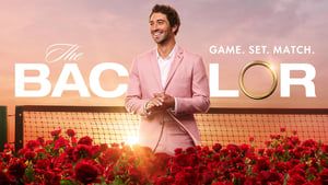 poster The Bachelor