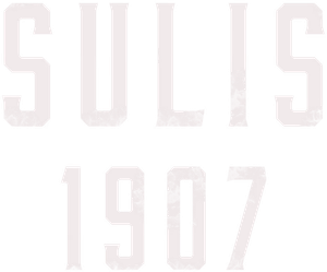 The Riot — Logos 4