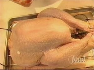 Image Romancing the Bird (A Good Eats Thanksgiving)