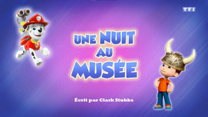 Paw Patrol Helfer auf vier Pfoten: 6×49