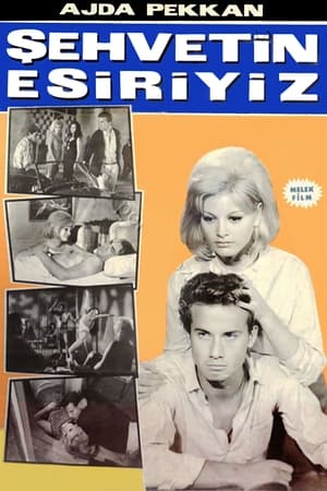 Poster Şehvetin Esiriyiz (1965)