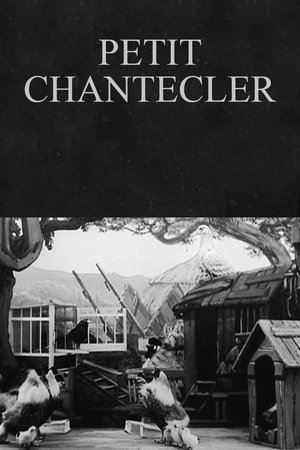 Le petit Chantecler film complet