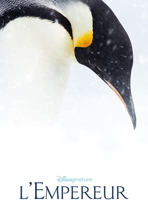Image Pingvinresan 2