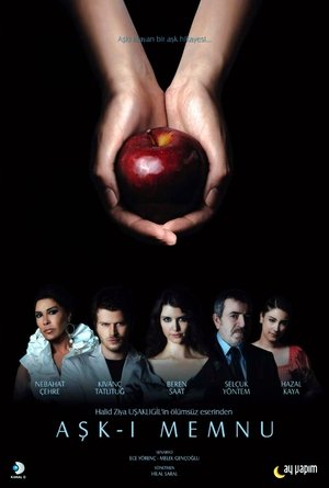 Poster Aşk-ı Memnu 2008