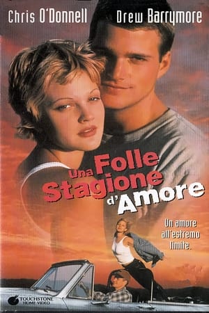 Poster Una folle stagione d'amore 1995