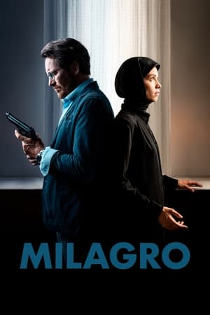 Image Milagro