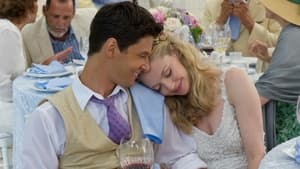 The Big Wedding(2013)