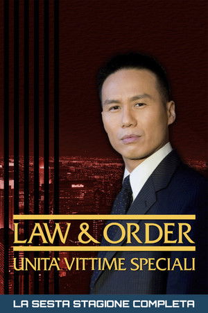 Law & Order - Unità vittime speciali: Stagione 6