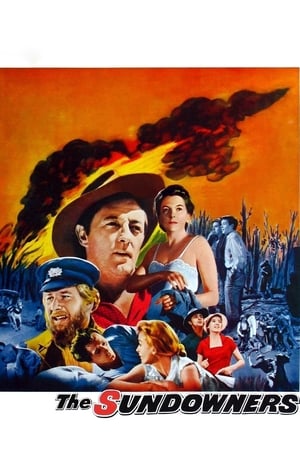 Poster The Sundowners 1960