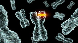 A Science Odyssey