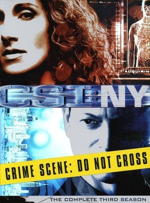 CSI: NY: Sæson 3